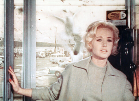 the-birds_tippi-hedren_image-credit-universal-pictures-photofest-the-kobal-collection-_universal_pictures_photofest-2856919