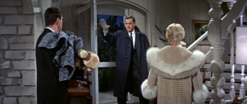 pillow-talk_doris-day_fur-topped-coat-rear-2773153