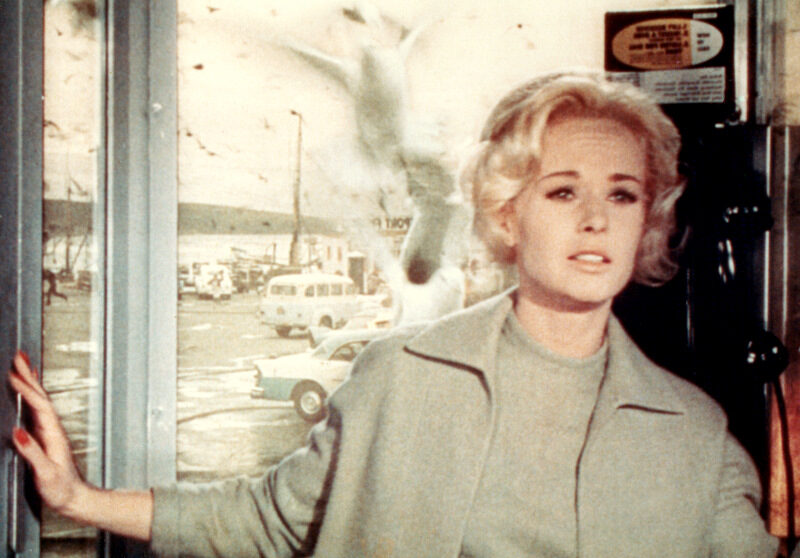 the-birds_tippi-hedren-green-suit_image-credit-universal-pictures-photofest-the-kobal-collection-5349518