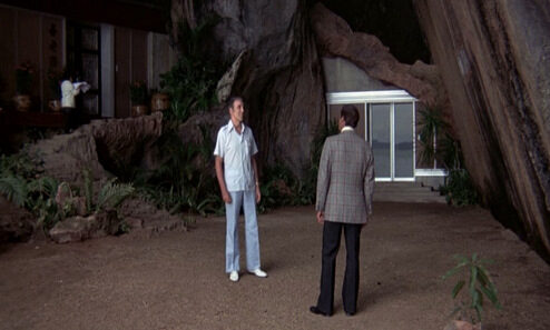 the-man-with-the-golden-gun_roger-moore-plaid-jacket_rear-bmp-1-4503376